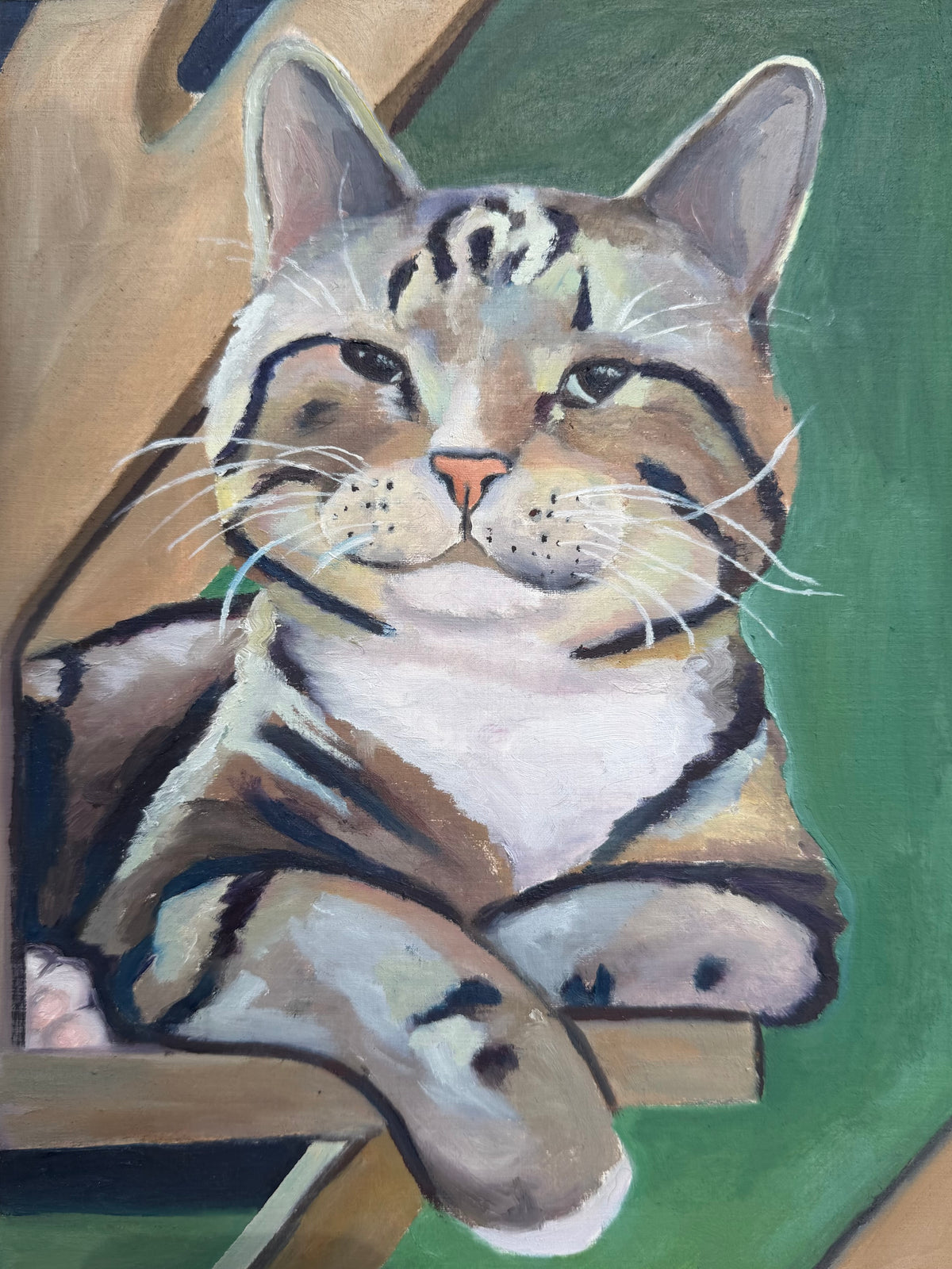 Pet Portraits