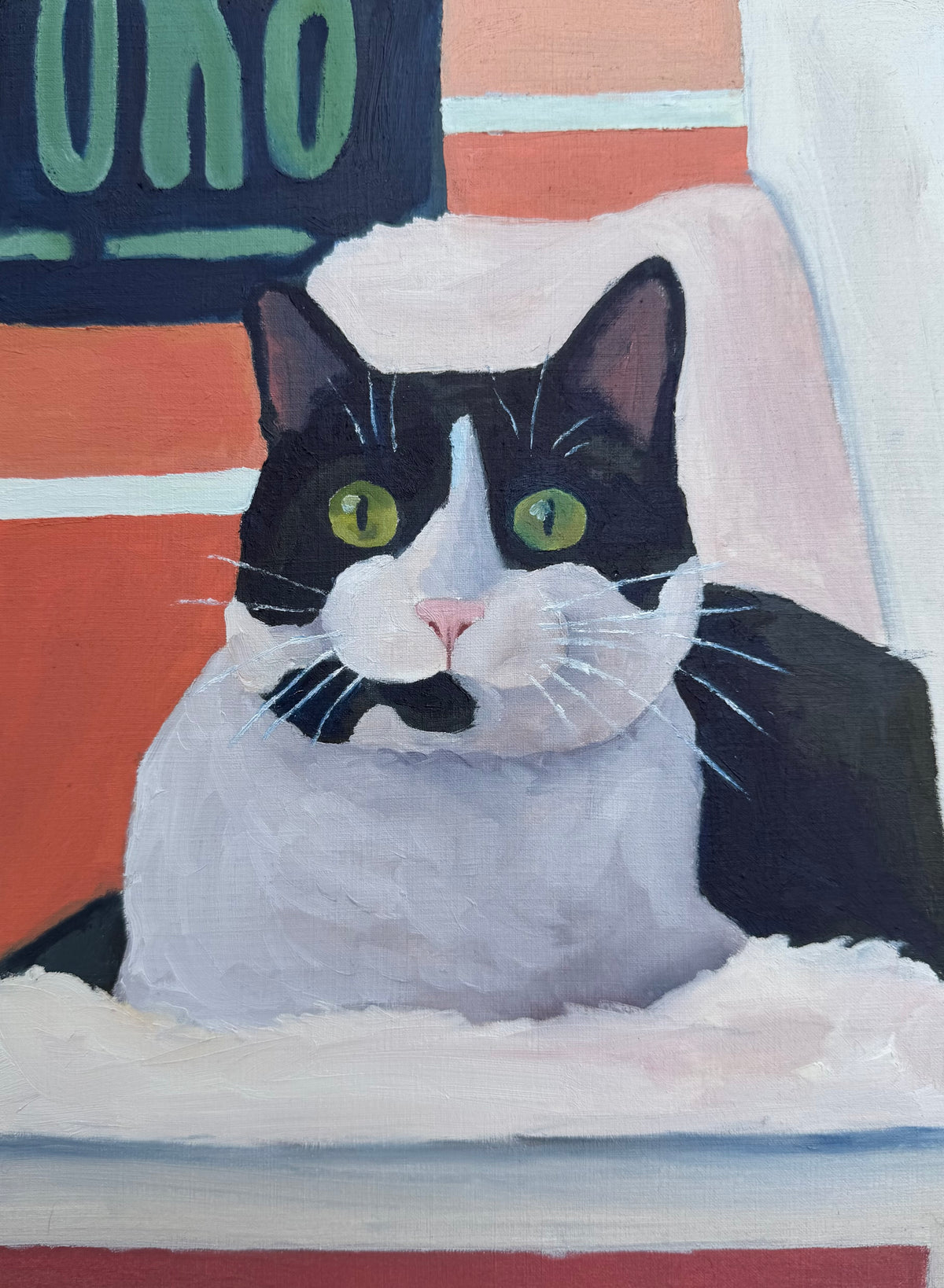 Pet Portraits
